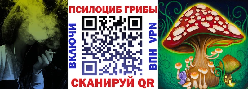 Псилоцибиновые грибы прущие грибы  Купить  Саянск 